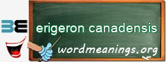 WordMeaning blackboard for erigeron canadensis